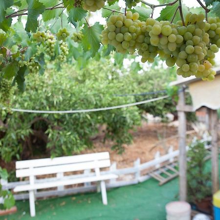 Acqua Di Mare Bed & Breakfast Locogrande Dış mekan fotoğraf
