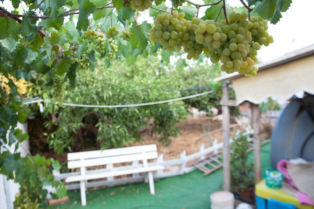 Acqua Di Mare Bed & Breakfast Locogrande Dış mekan fotoğraf